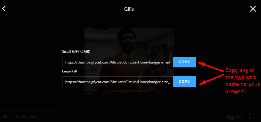 Gfycat-Download-a-GIF-4