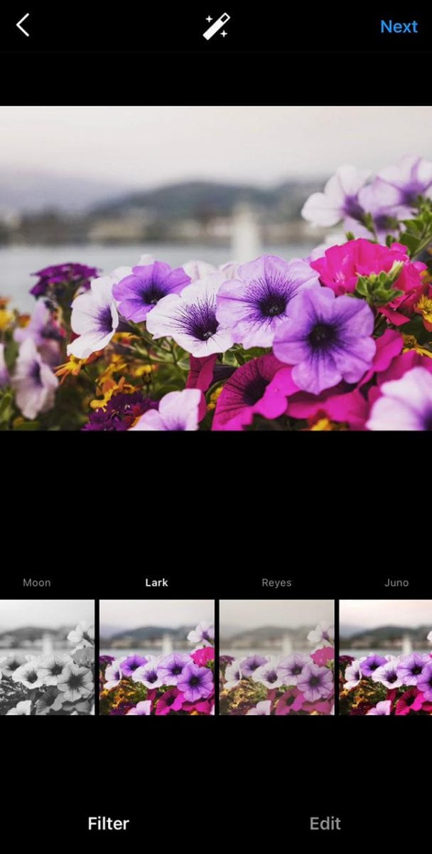 15 Best Instagram Filters in 2021 [And How to Find Them]